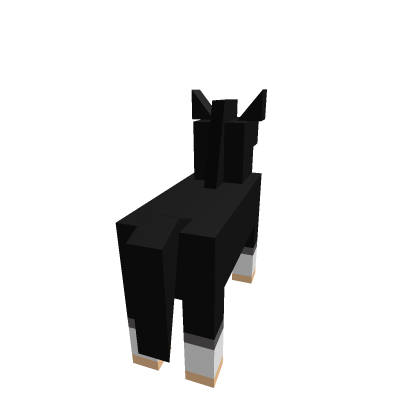 Horses