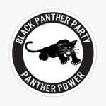 The Black Panther Party (TBPP)
