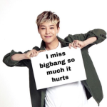 BIGBANG V.I.PS