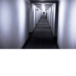 Endless Hallway