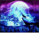 offical Wild Wolves!