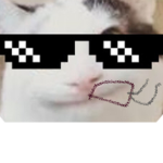 YouTube beluga
