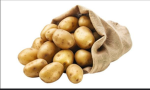 Potato studios 1