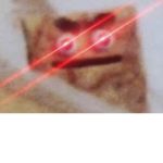 CC1NNAM0N L4ND