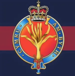 Prince Of Wales Company Welsh Guards