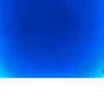 Roblox mith fan club