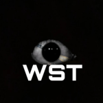 Watchman Security Team
