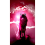 Wolfie Band Ofical!
