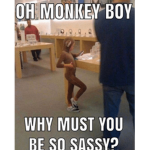 Monkey Boy Group