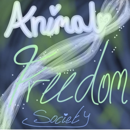Animal Freedom Society's Hangout!