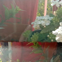 ★જ