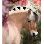 |~| Cherry Tree Riding Academy |~|