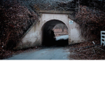 .: Project Rabbit :.