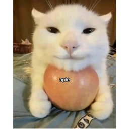 the backrooms icon