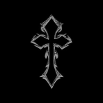 N3 Collective