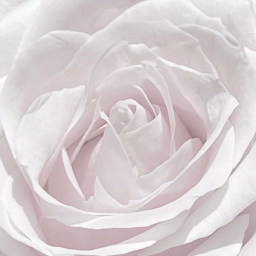 ♡