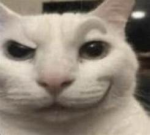 the cats is the lion