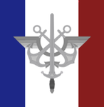 -[FAF]- French Armed Forces