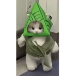 HYDRO!!!