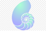 Seashellvlox