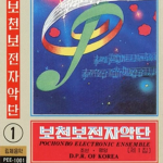 Pochonbo Electronic Ensemble [DPRK]