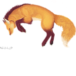 super fox fan group