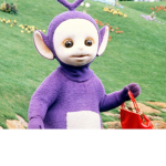 The Tinky-Winky’s