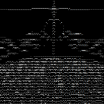 /root