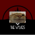 TCI || The Kitties