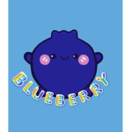 Blueberry‘s Clothing Store