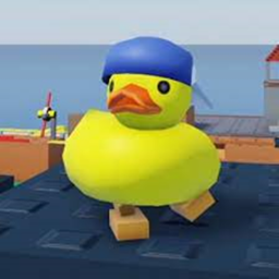 Duck obby