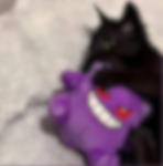 PRojectsPKE
