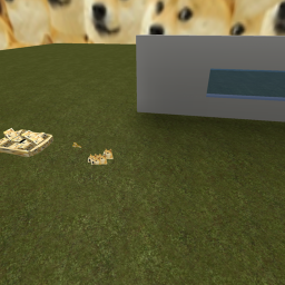 Doge hangout (also with interviews)