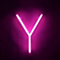 Favorite Neon Y icon