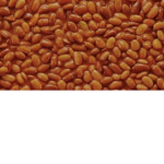 Applex Production Company
