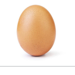 Egg group 28