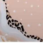 Coco beans are cute