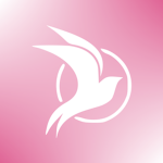 EA | Enelso Airlines