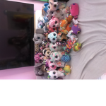 The beanie boo group and cat group