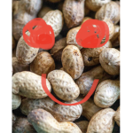 The peanut people pals group