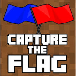 capture the flag [BETA]