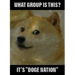 ★✩The Doge Nation★✩
