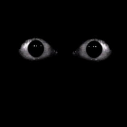 scary eyes Roblox decal