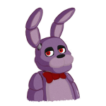 the disco bonnie group