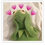 tea sipping kermit