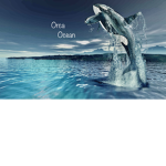 Orca Ocean