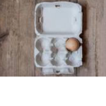 A Single Egg