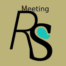 Meeting PS