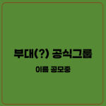 부대(?)
