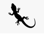 LIZARD studio.